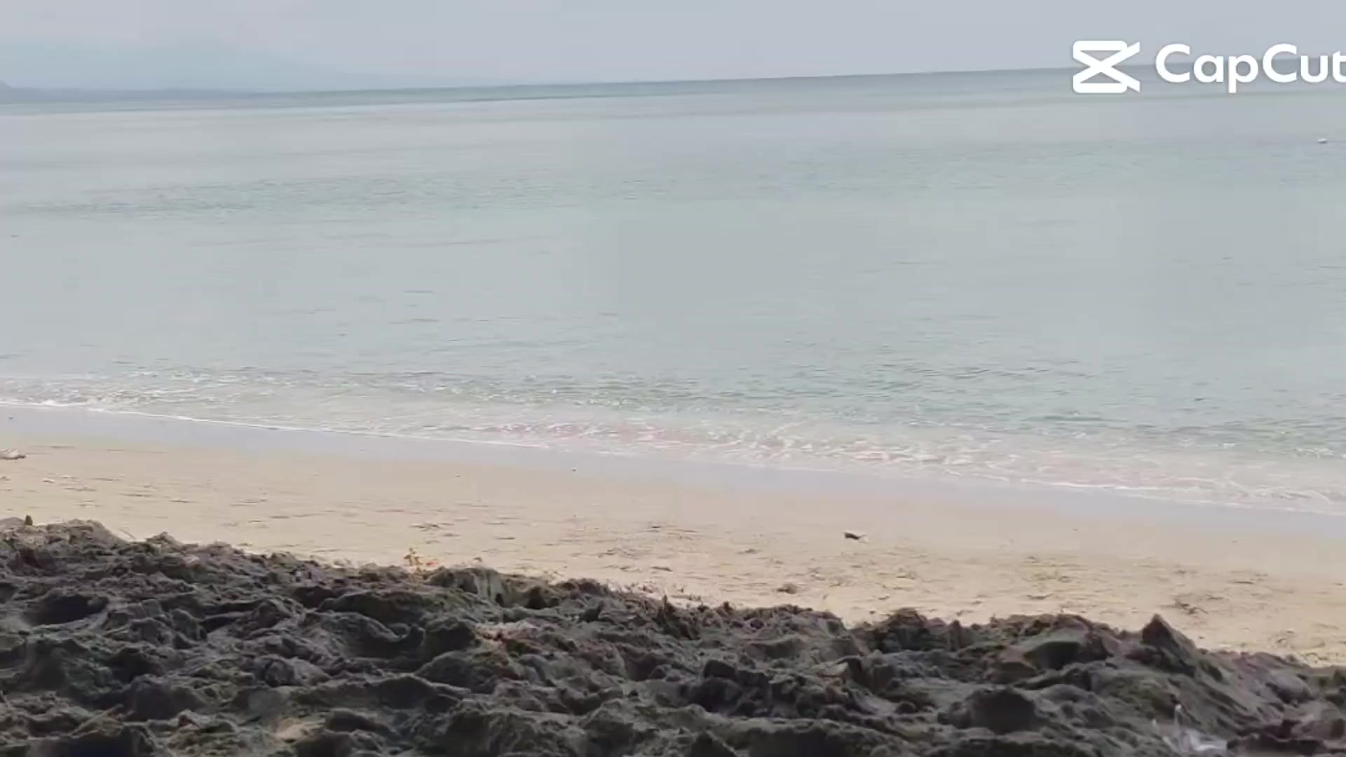 @RAIDZ24