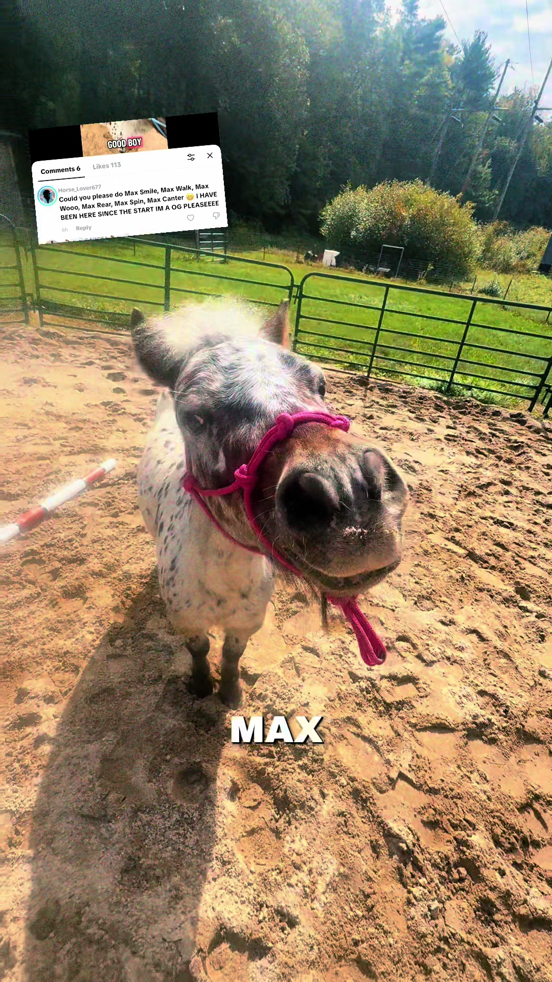 @Maxwell Farms