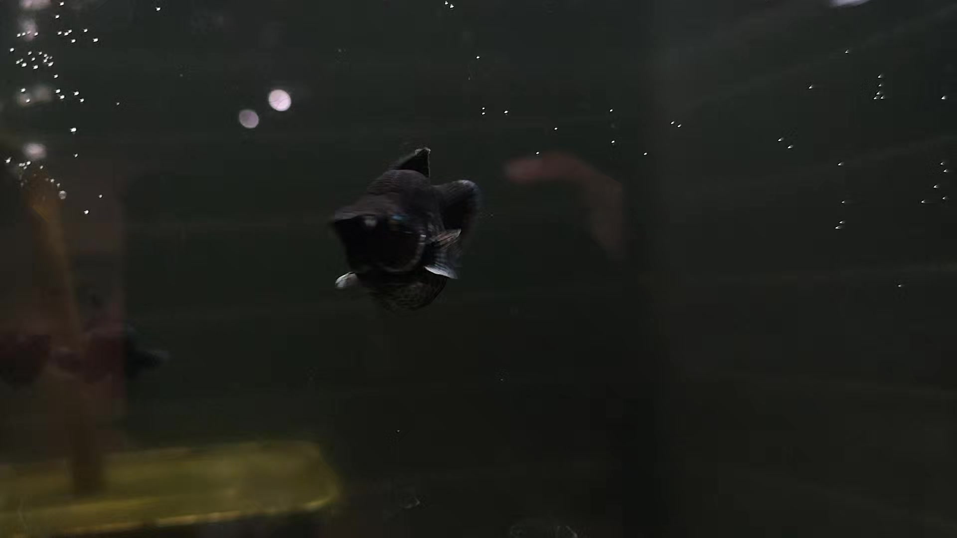 @KMCLO.PiN