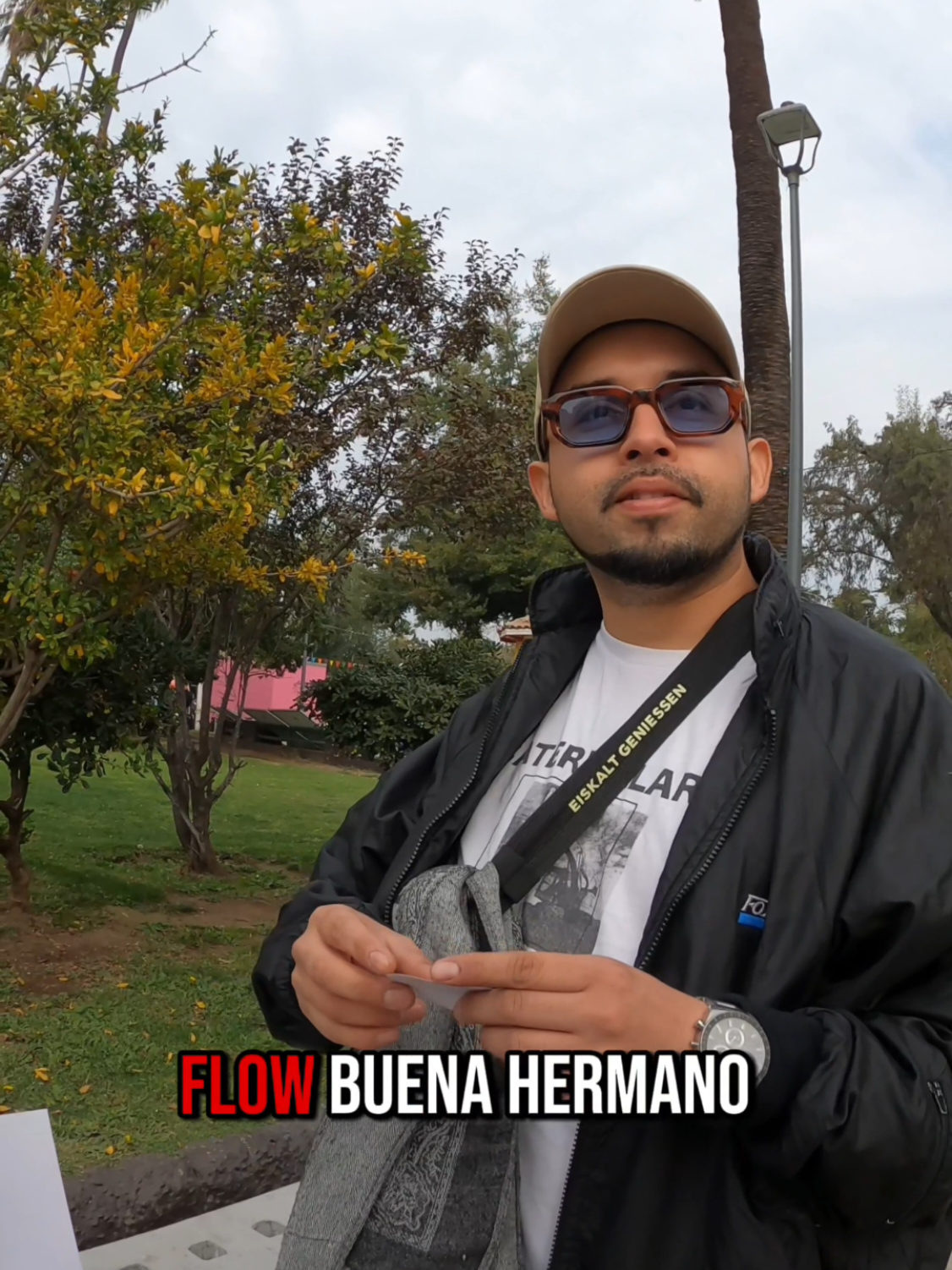 @Colmena Studio CL.