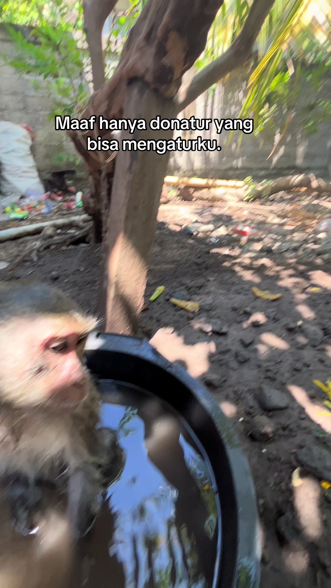 @Nyunyut