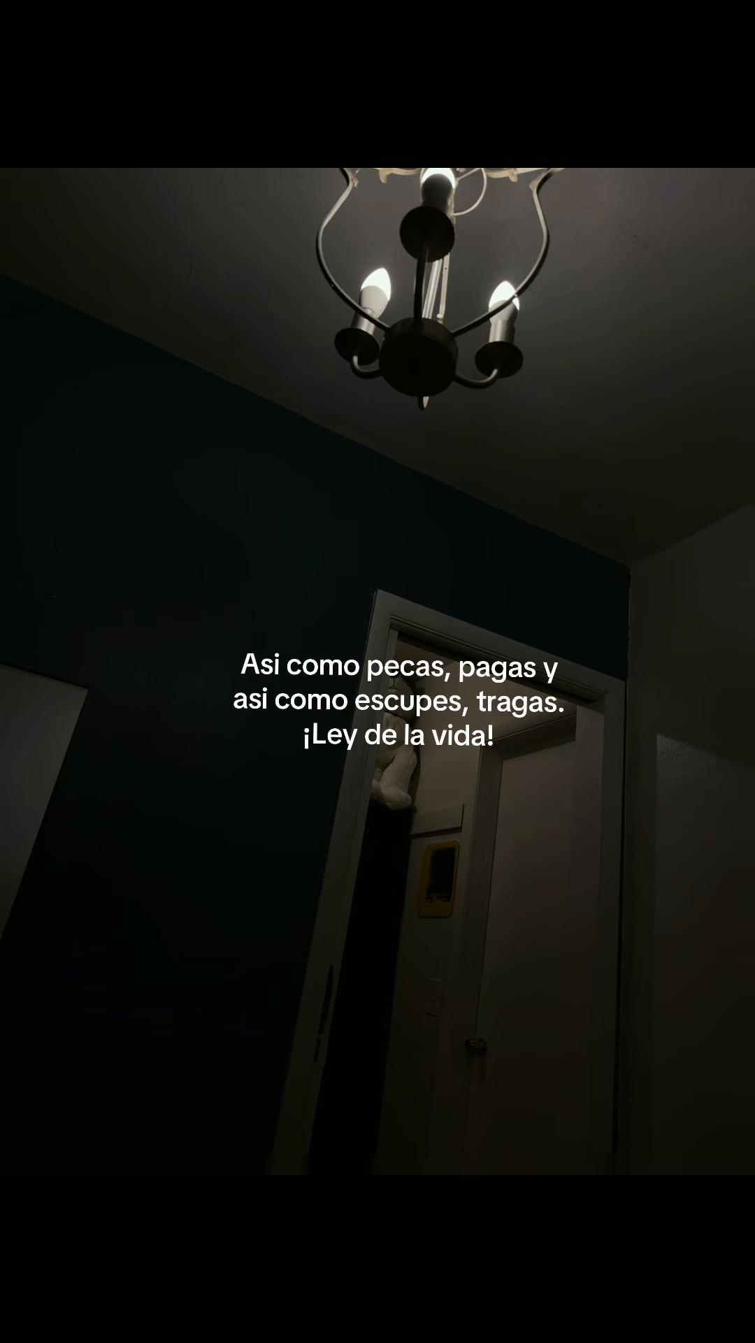@.s༙྇𝔥𝔢&iexcl;|𝔦 𝓳𝓬🕷️