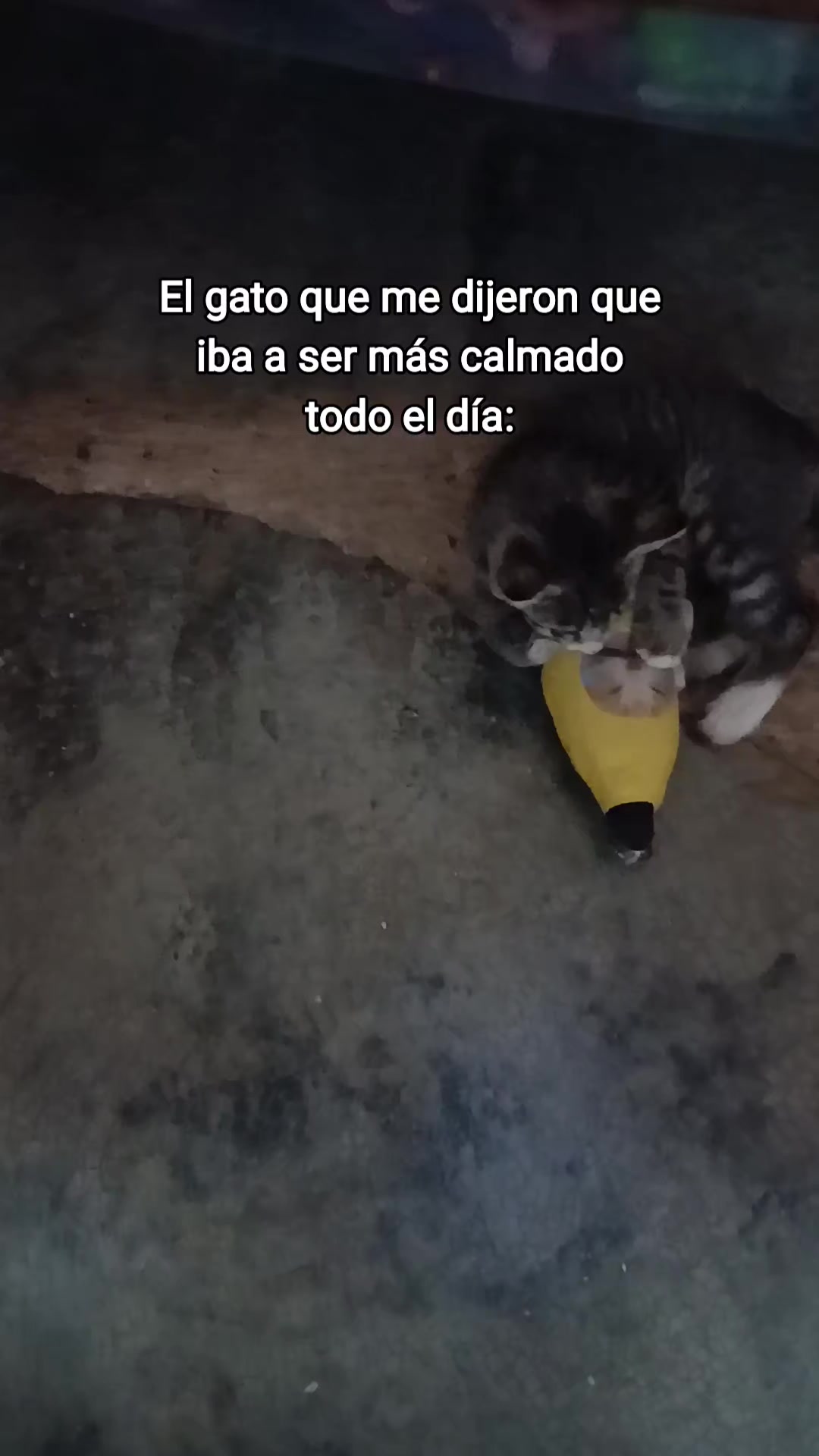 @Zhonii_Mtz