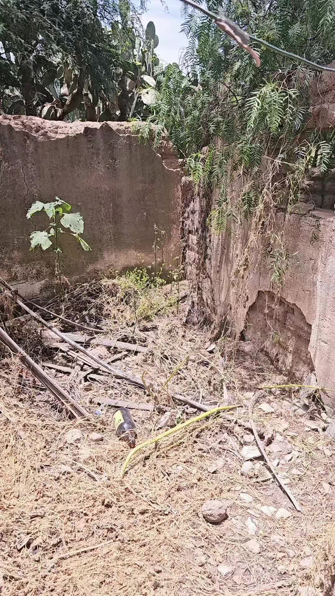 @El minimo del Tiktok