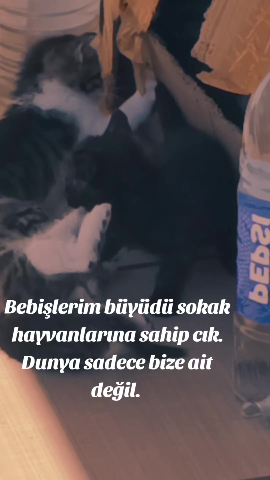 @Kuralsız....54 sakarya