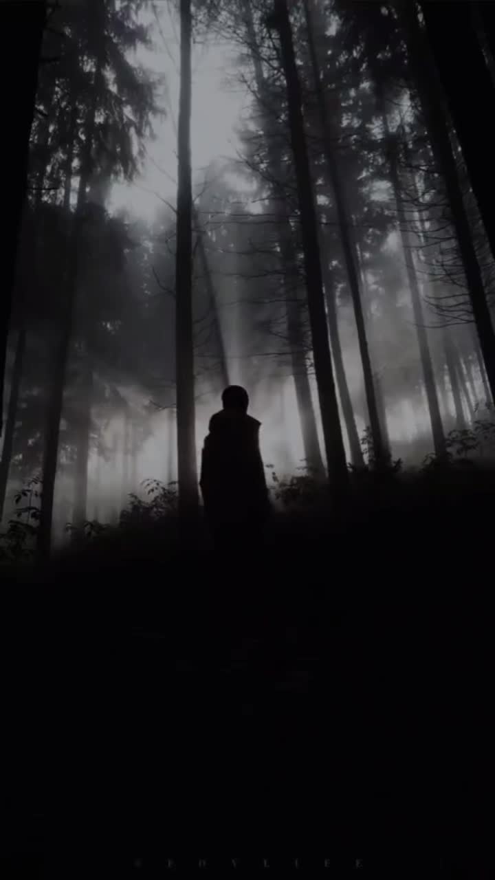 @AK47