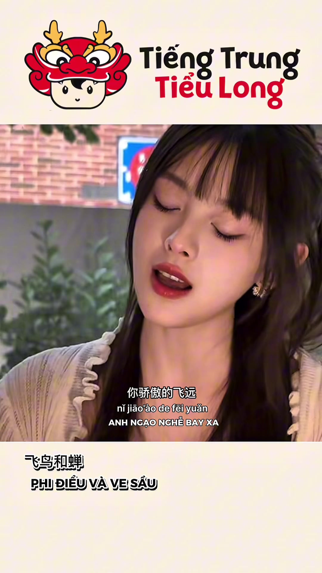 @Tiếng Trung Tiểu Long - 音乐