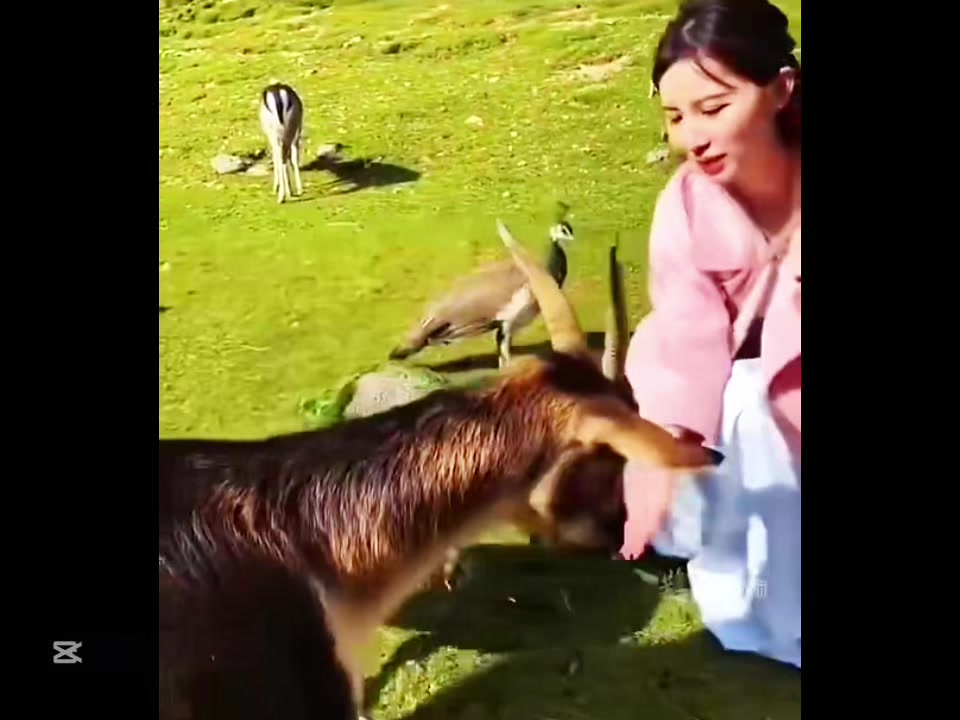 @liujiangyu