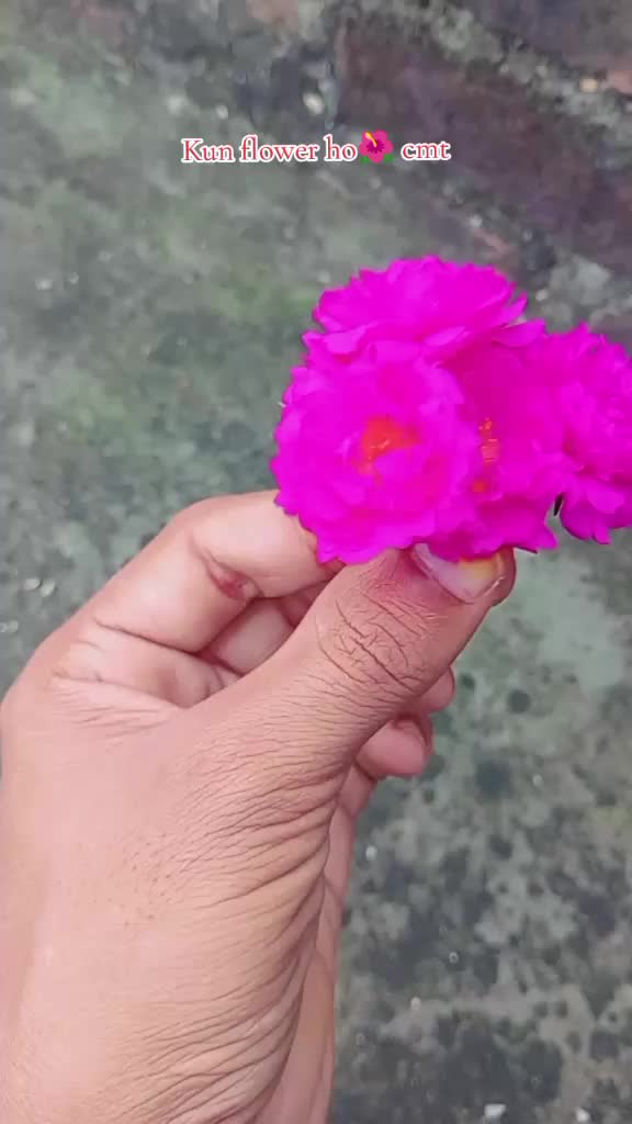 @༒☬مجاہد༒