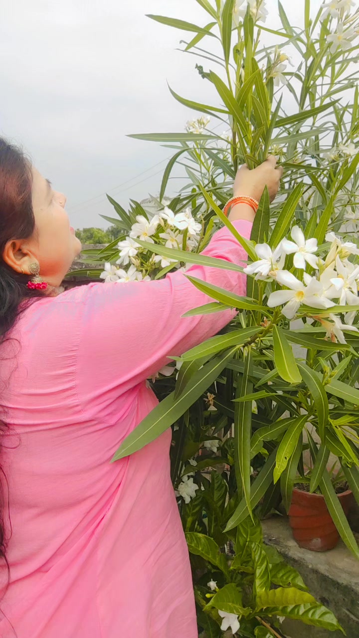 @Deepa Mahara