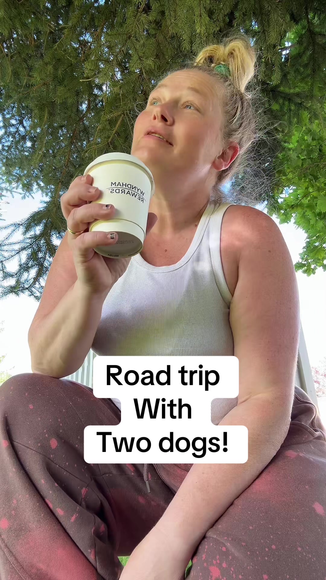 @laymejamie