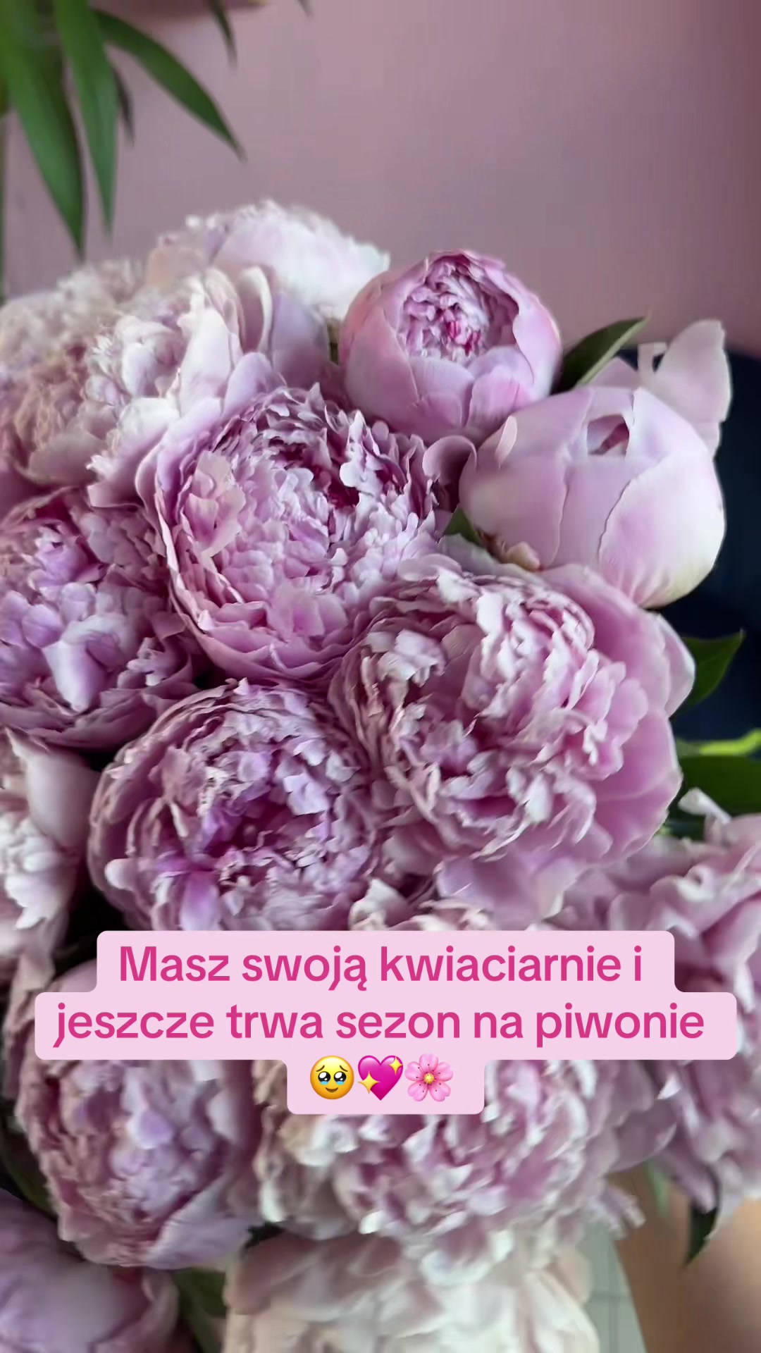 @Cześć Piękna!🌸