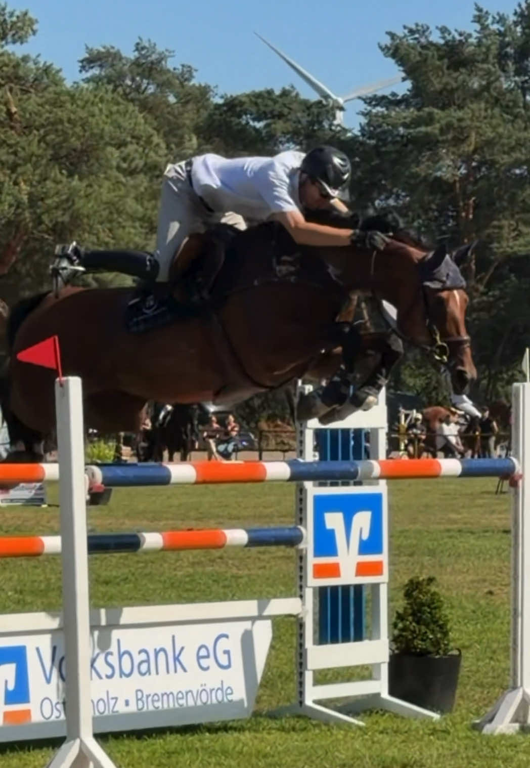 @Laura | German Horseracing