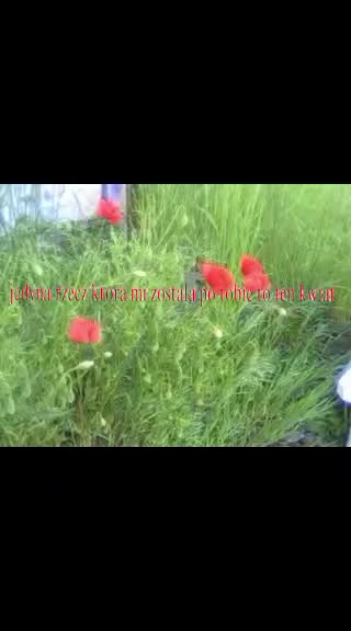 @каяк