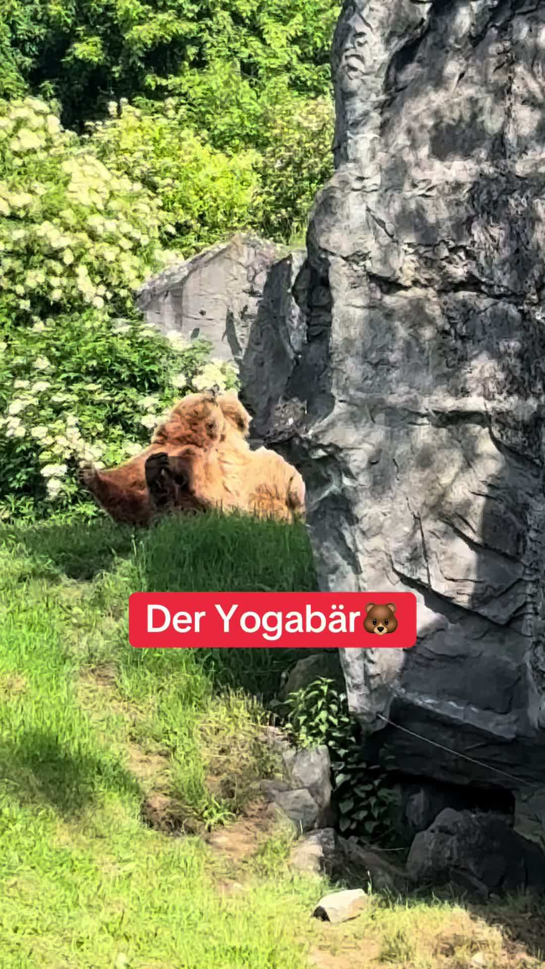 @Dachjockel