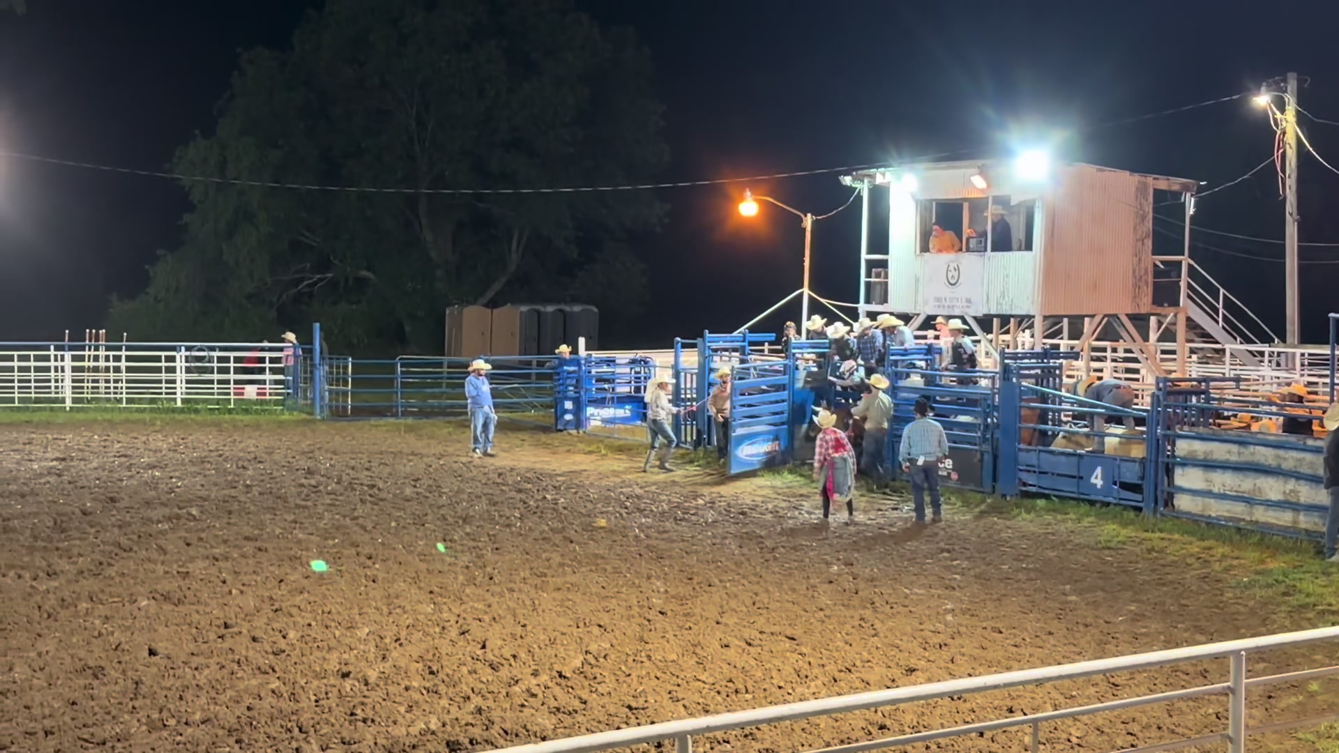 @mamasboyroughstock