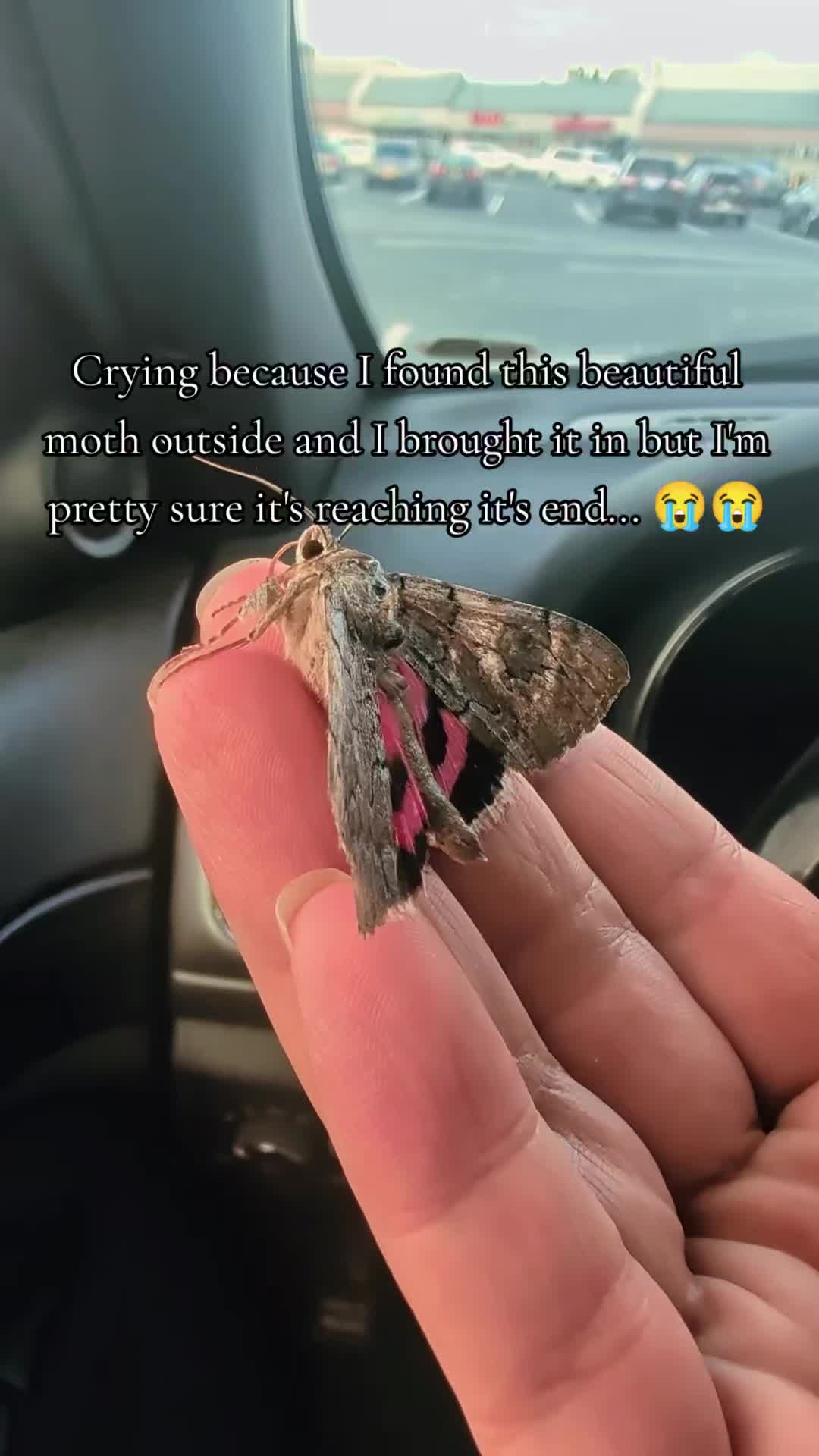 @AD