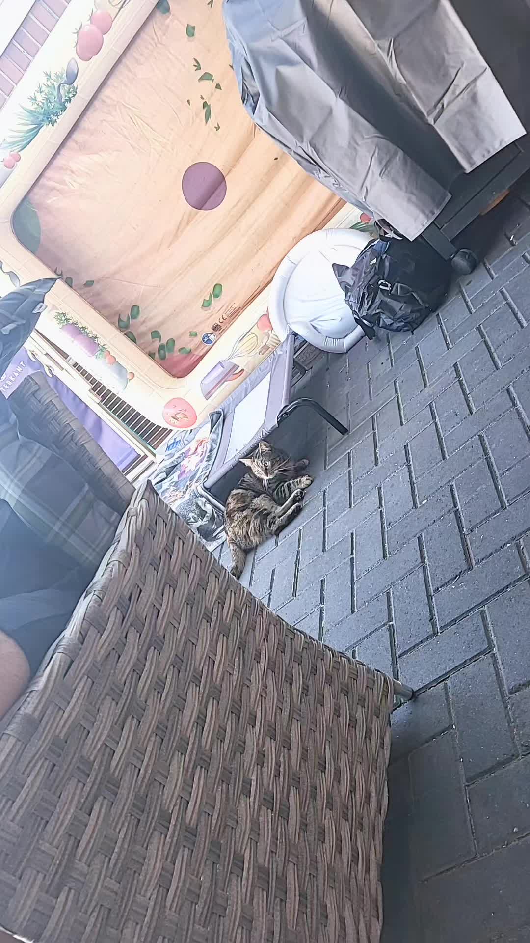 @💚_coco_💚