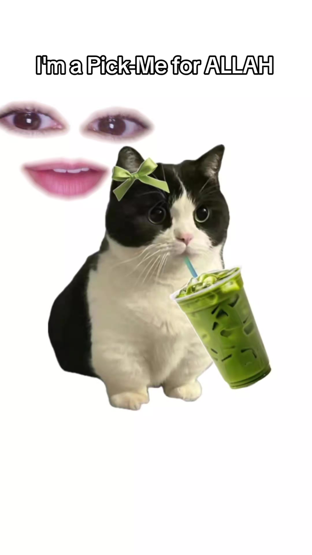 @Latte On My Mind
