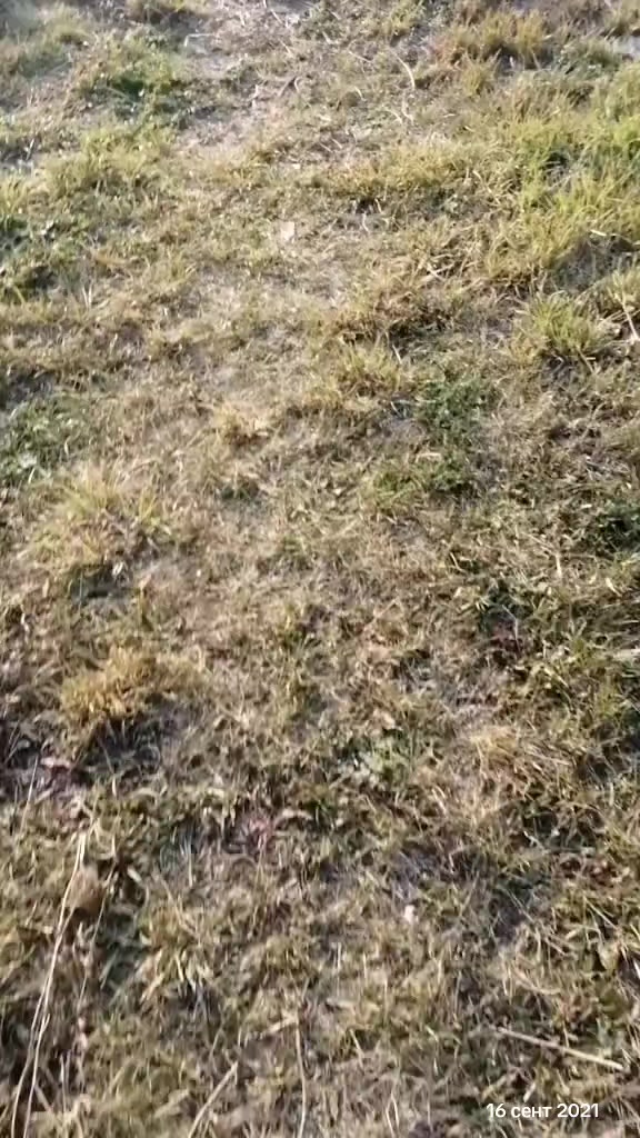 @Алёнушка