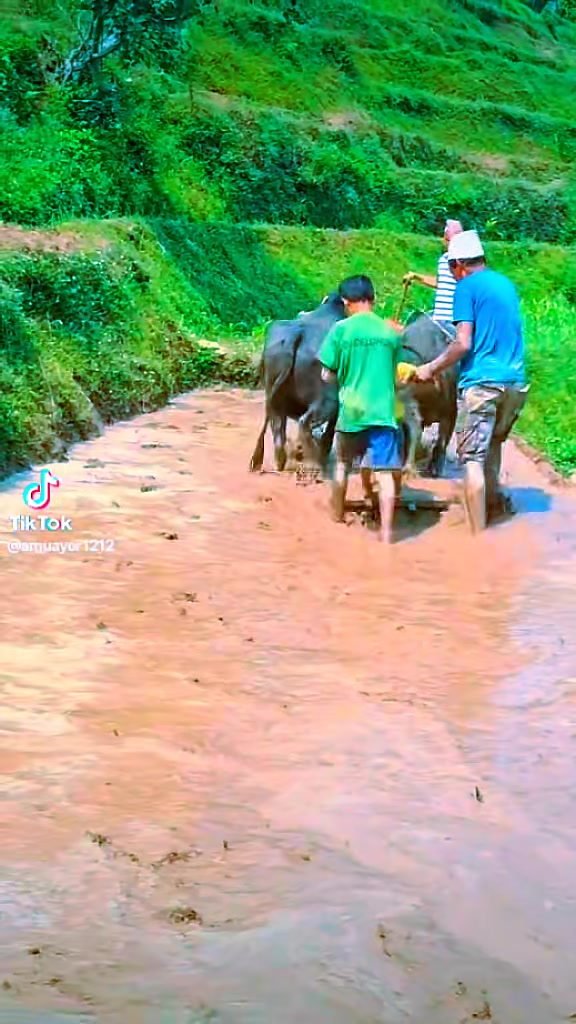 @ऐर धीरेन