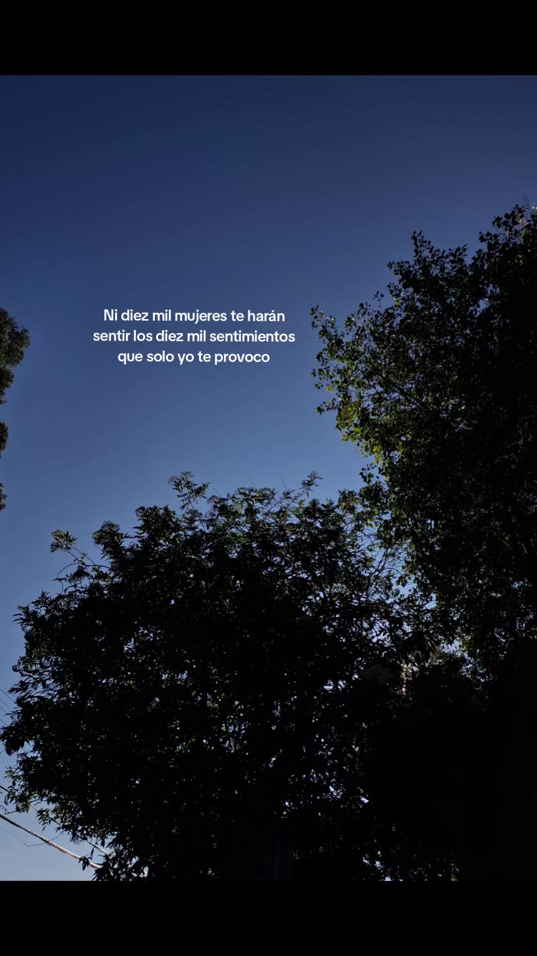 @๐น๐๐๐๐๐๐๐ ๐ท