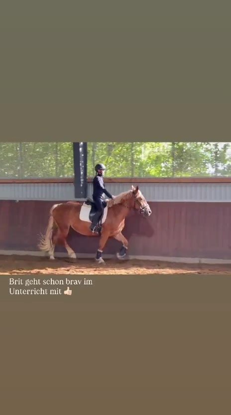 @reitstall_wuellner