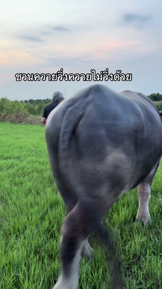 @Jay&ensp;Vanasuwan