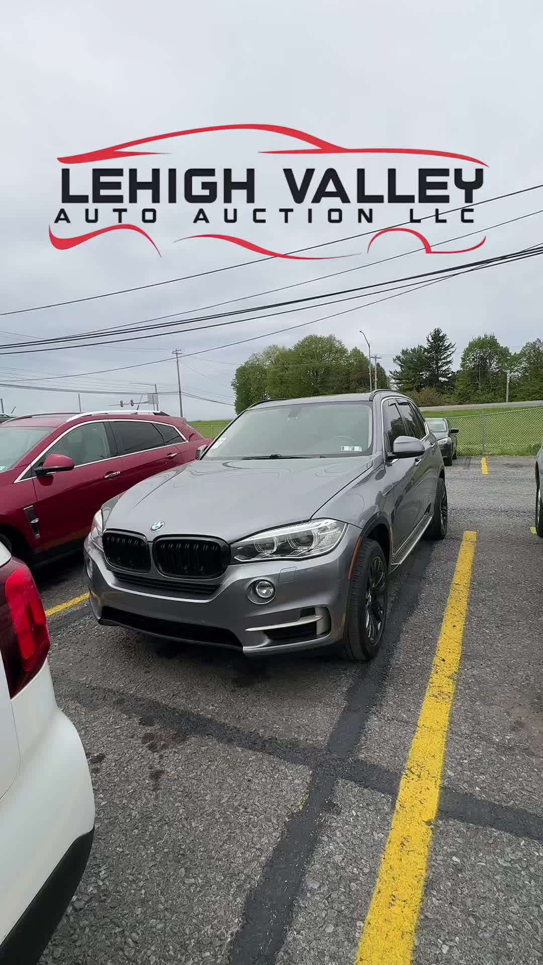 @Lehigh Valley Auto Auction