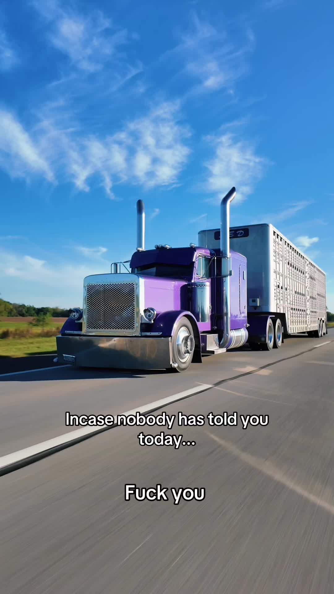 @jb_cattle