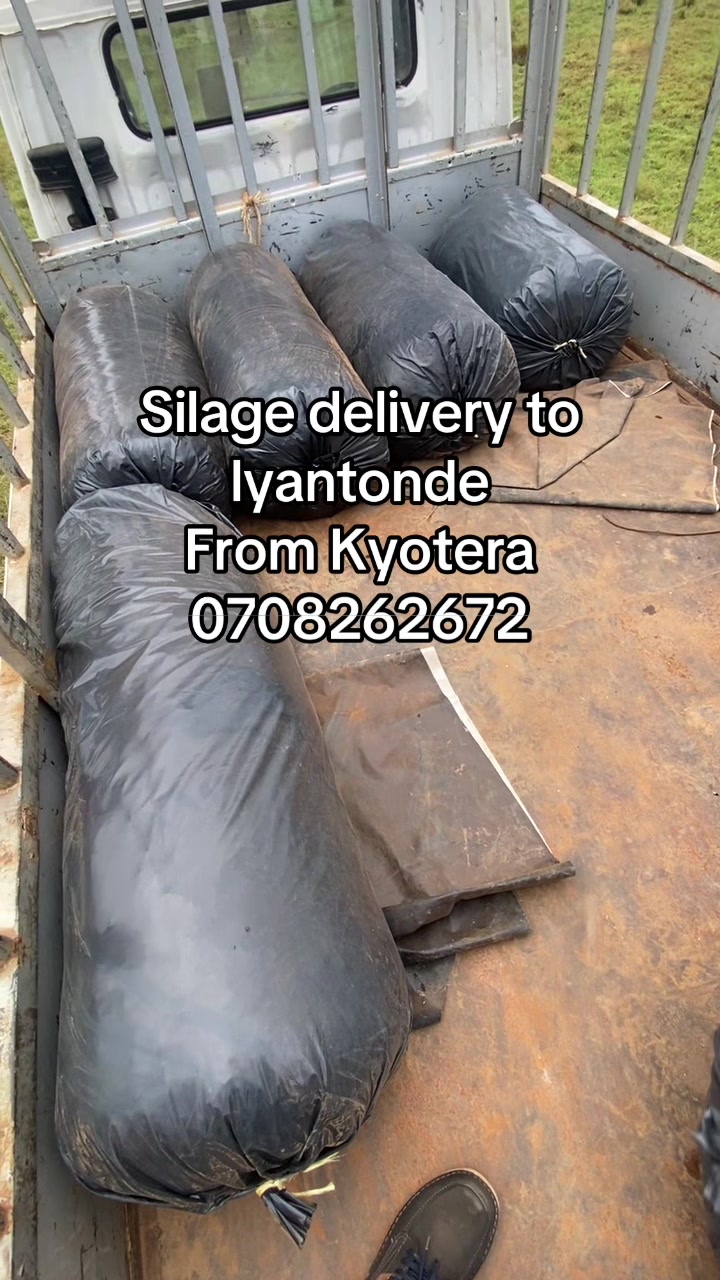 @KT Molasses Depot