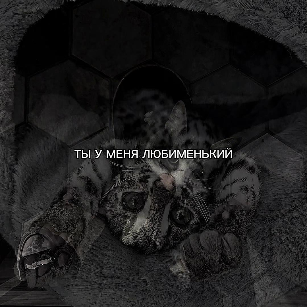 @ХХИКА