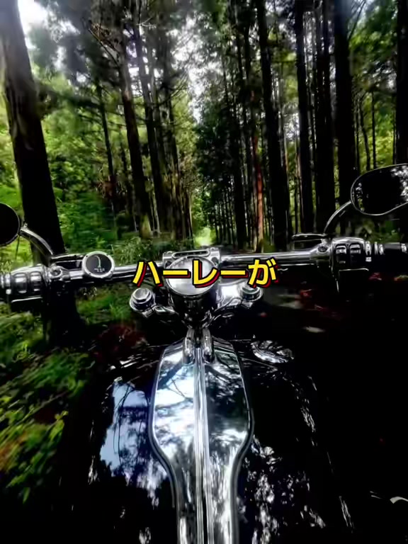 @ツインカムしんご | Harleyで人生変わった人