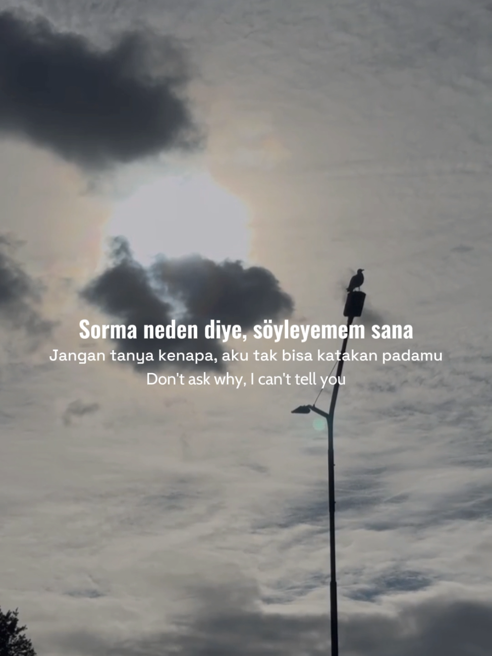 @Rayyan Demiral
