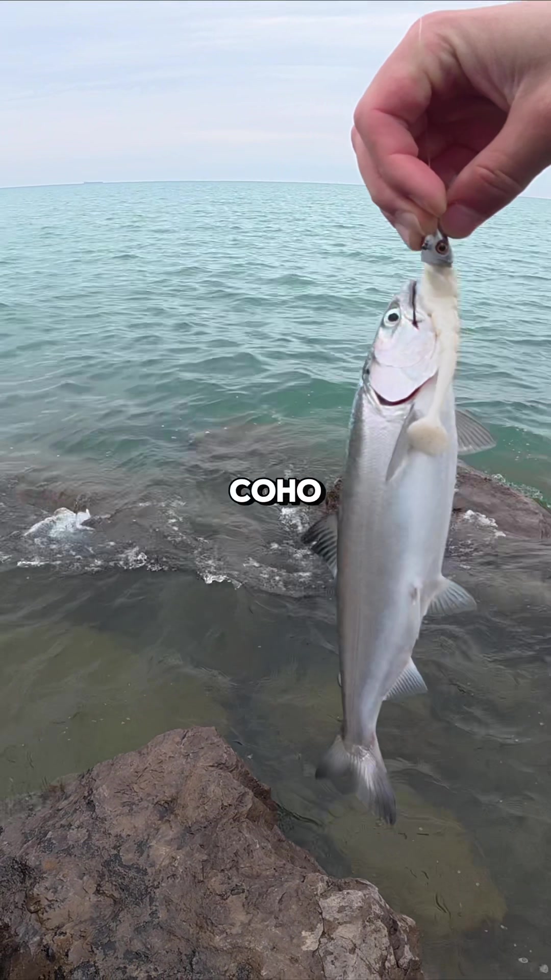 @JlangFishing