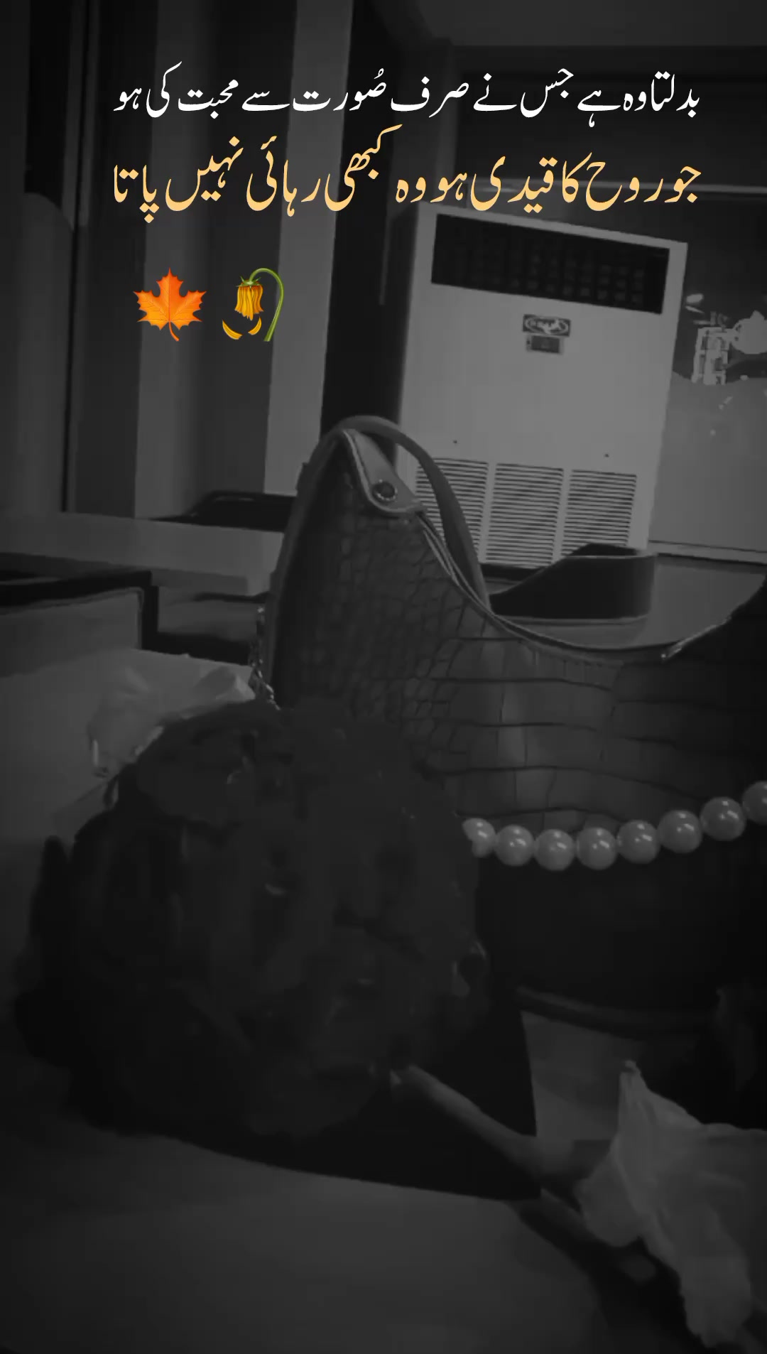 @𝘼𝙚𝘼𝙙🌙
