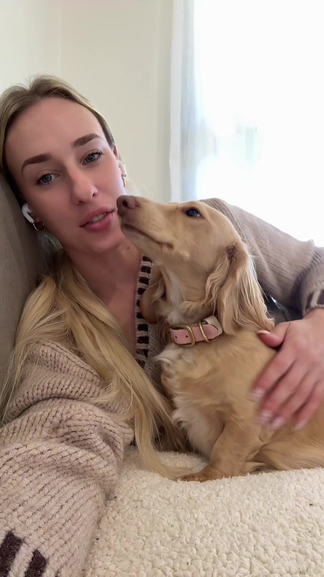 @Dachshund Dynasty