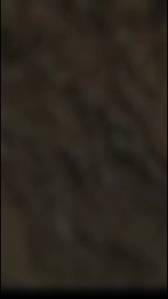 @𓆩 ᎯᏰᎠᎾ_ᏰᏒ _26𓆪