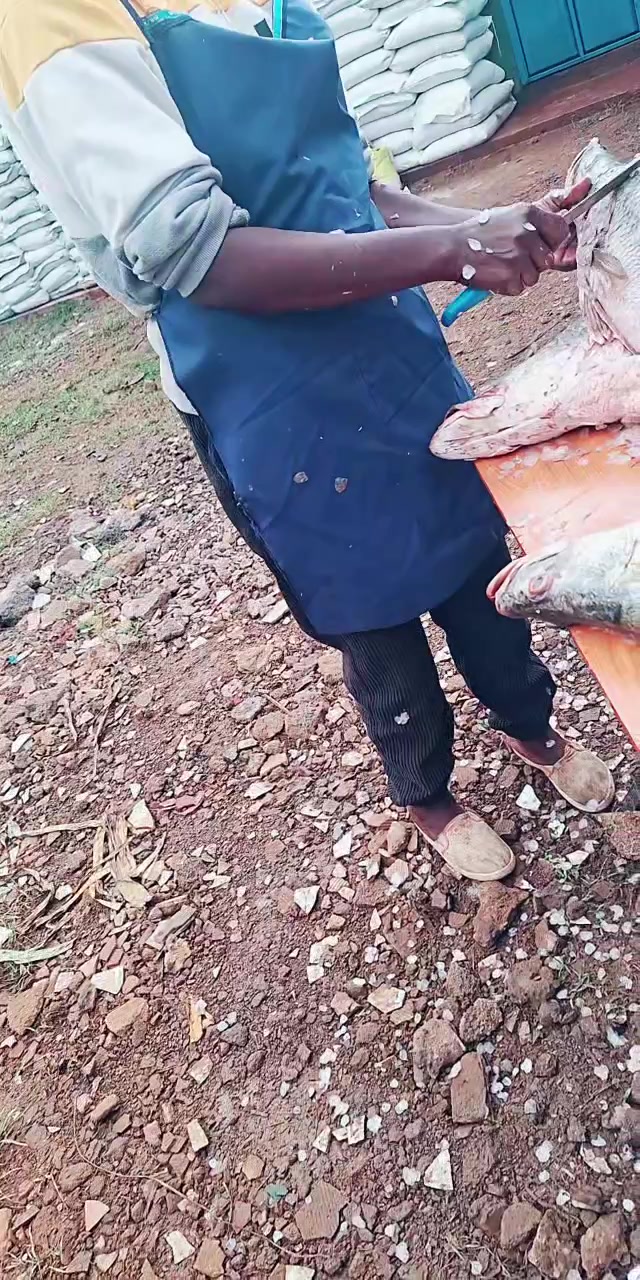 @VISUAL_BENTAH🇰🇪