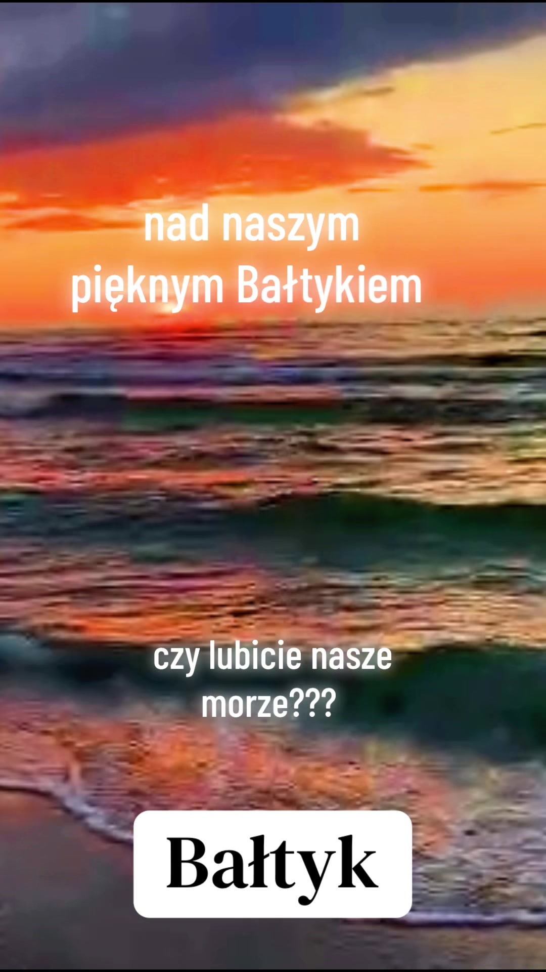 @🐶🐱 Babat 🐕🐈&zwj;⬛