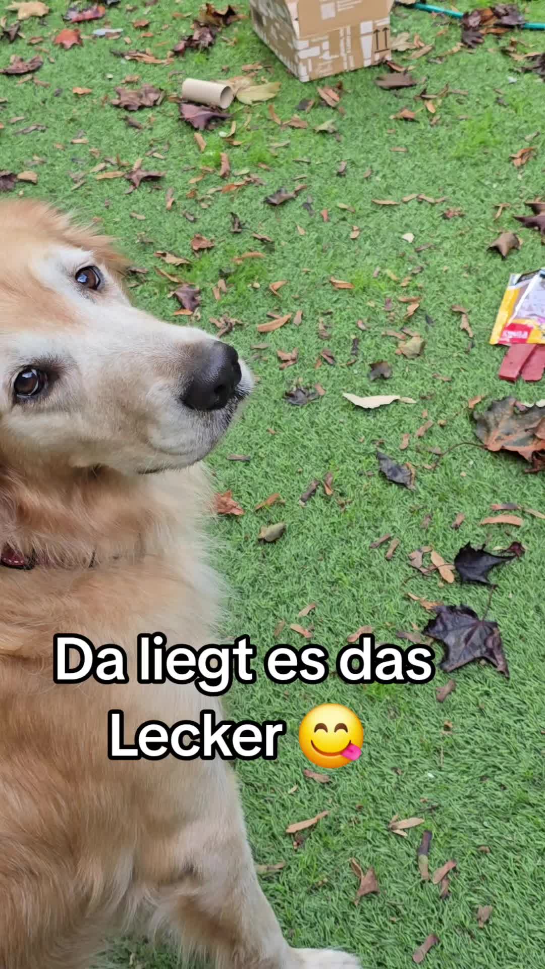 @Fellnasen WG