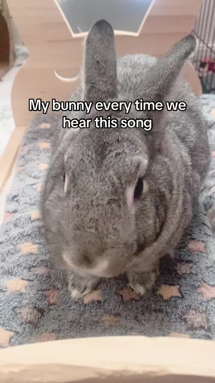 @interestinglilcreature