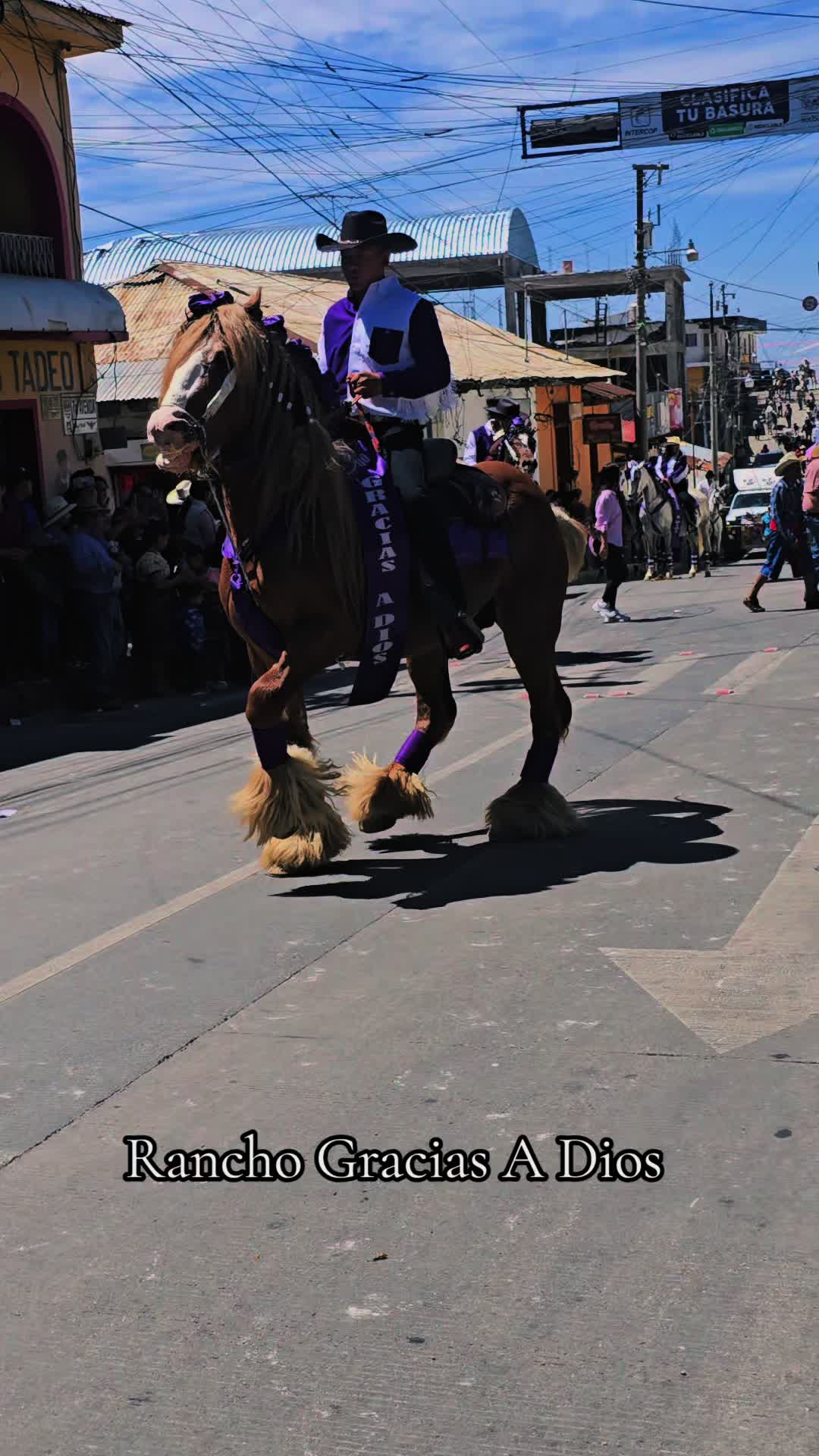 @Rancho Gracias A Dios 🐎🐅