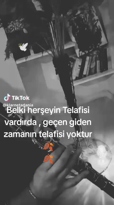 @ABD&Uuml;LKADİR HUN6154