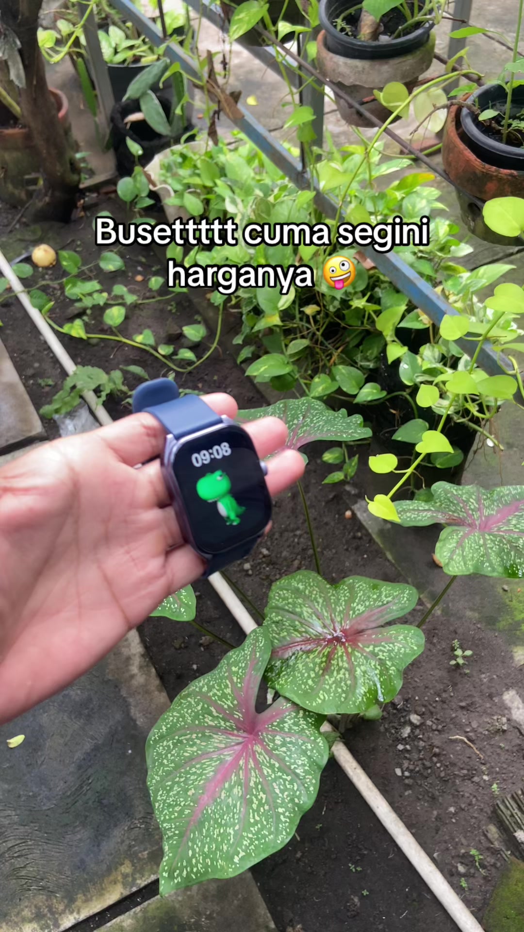 @rizqimoulana