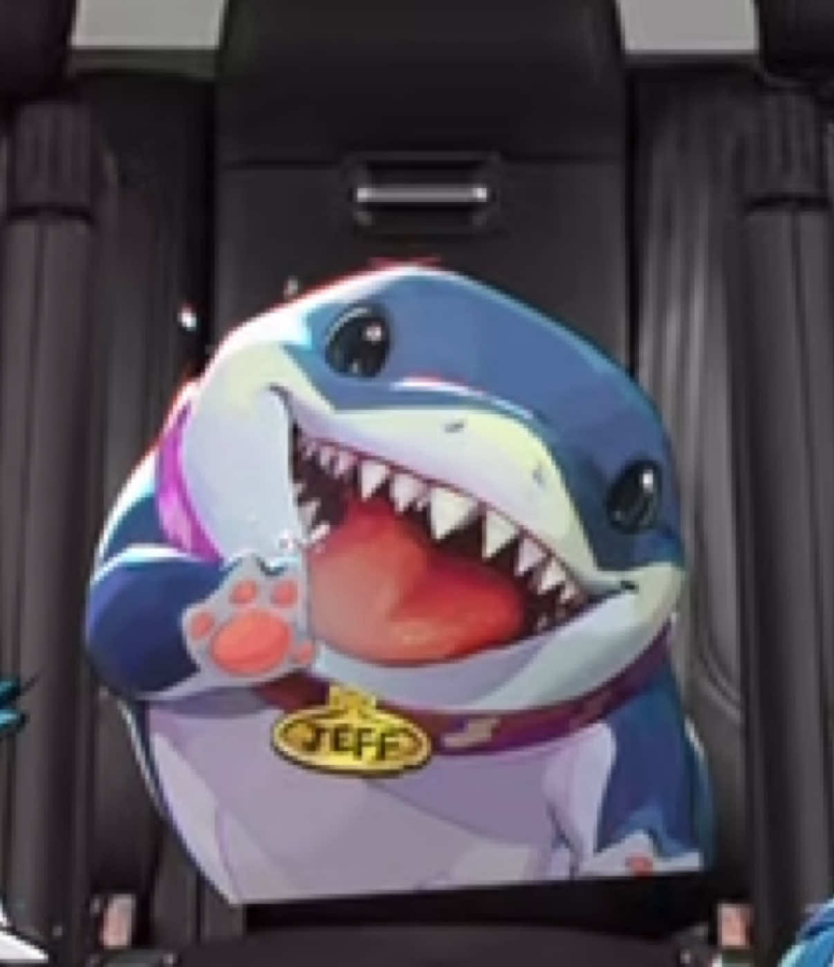 @pocketjeff