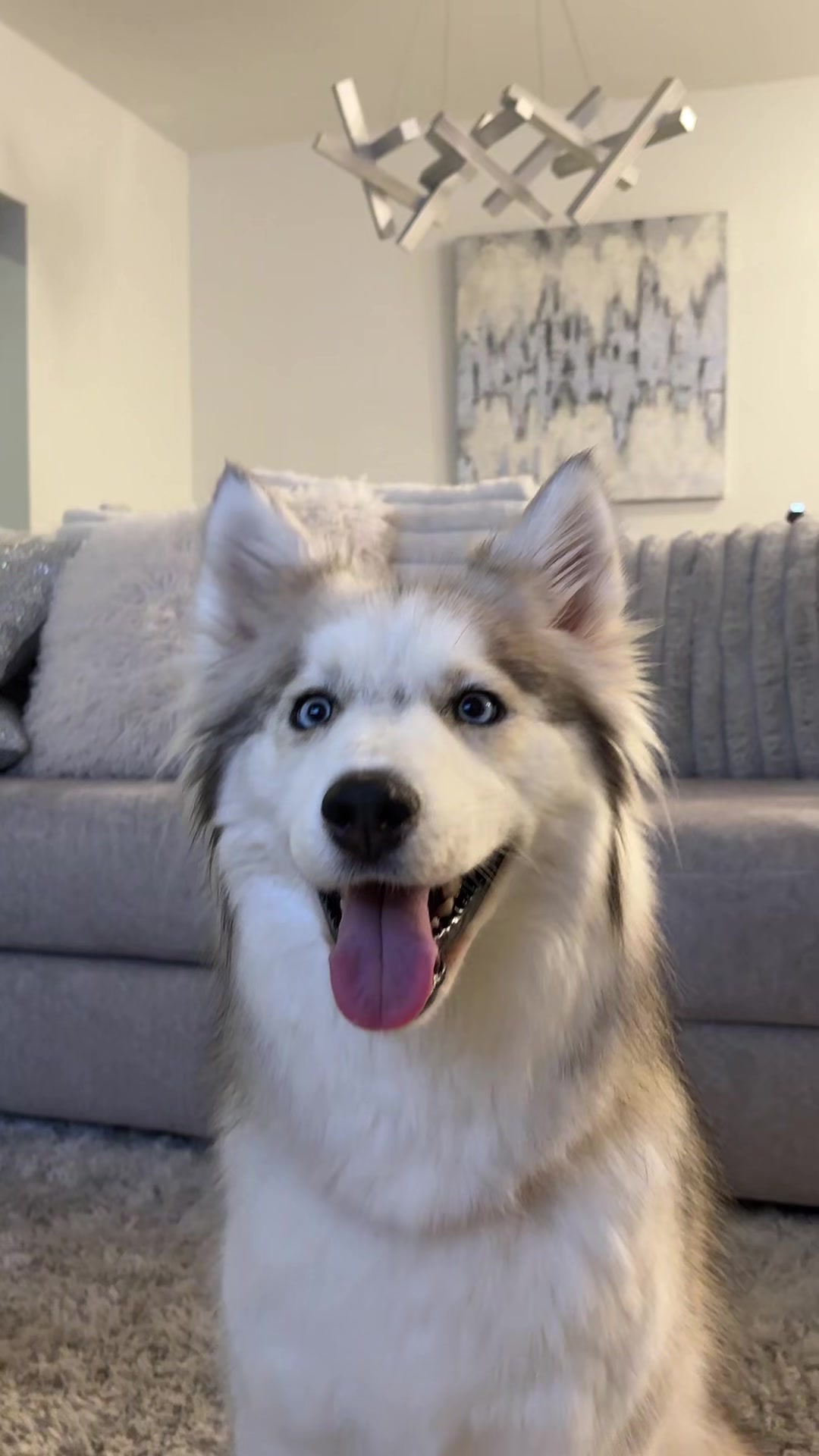 @lifewith2huskies