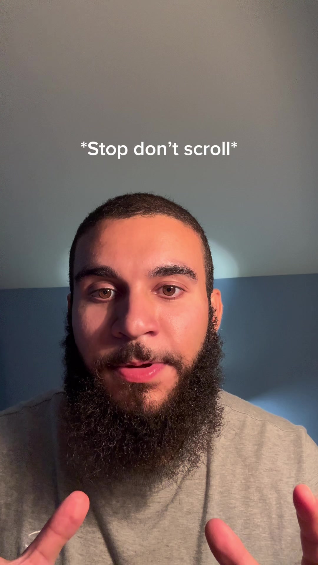 @tazthepali