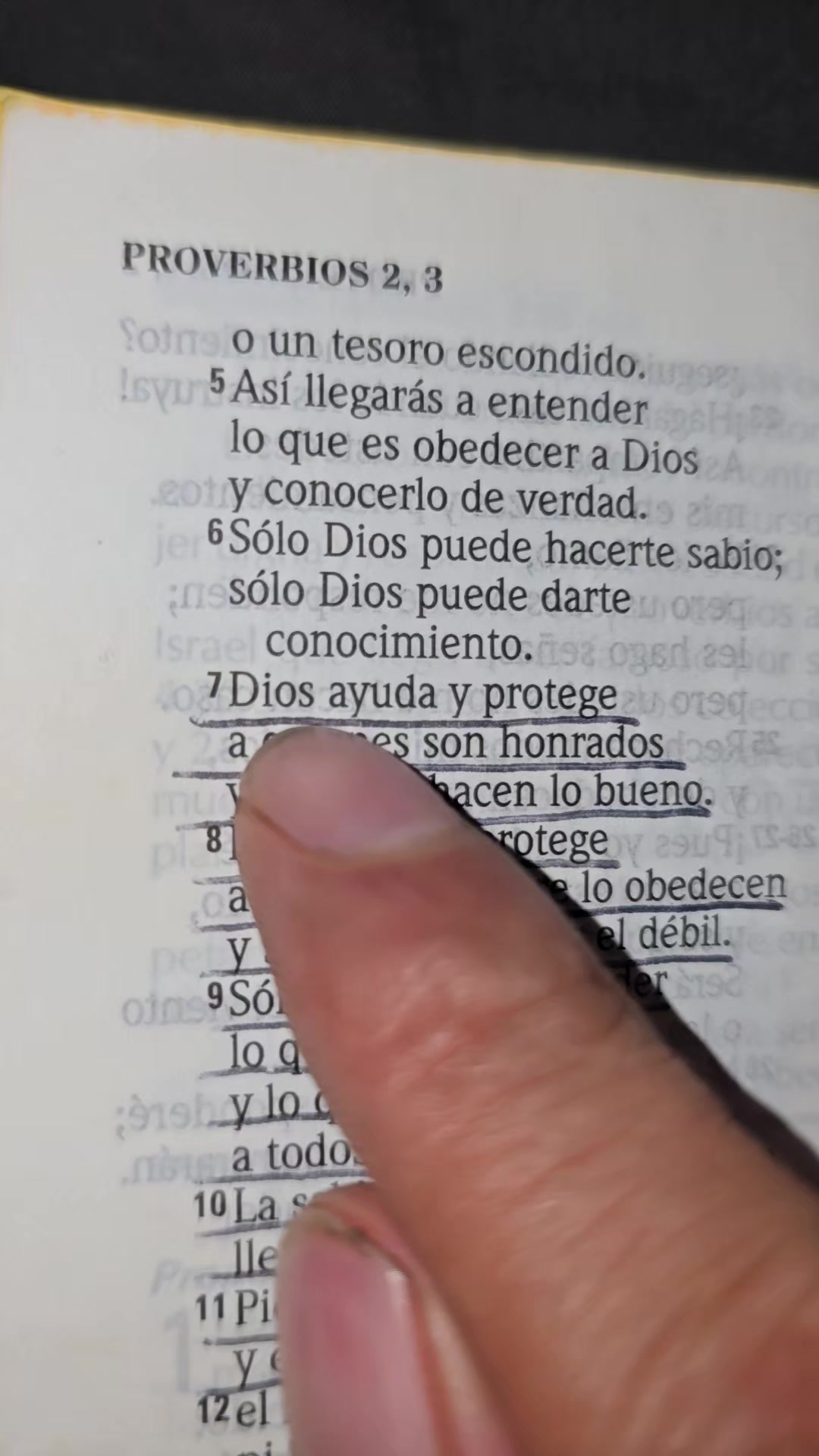 @Palabra de Dios