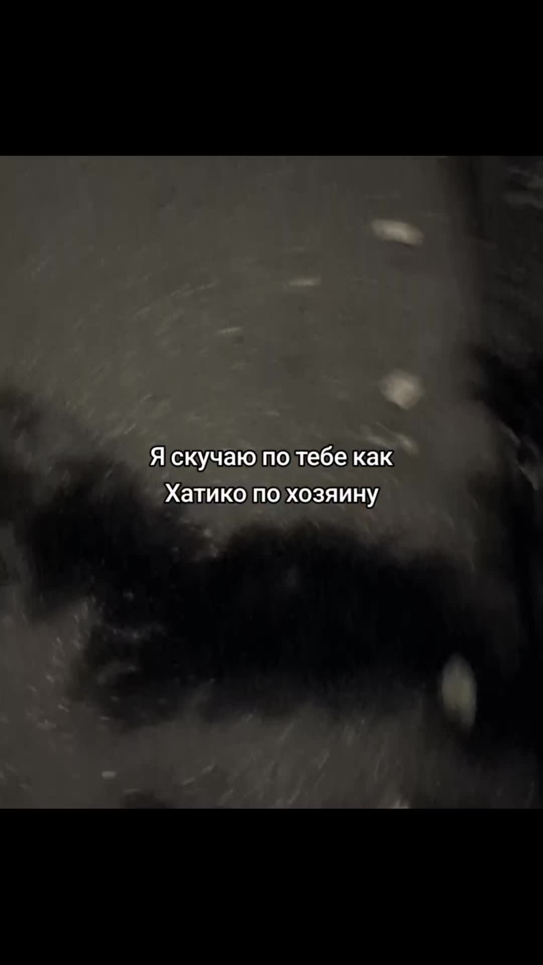 @Vapaus